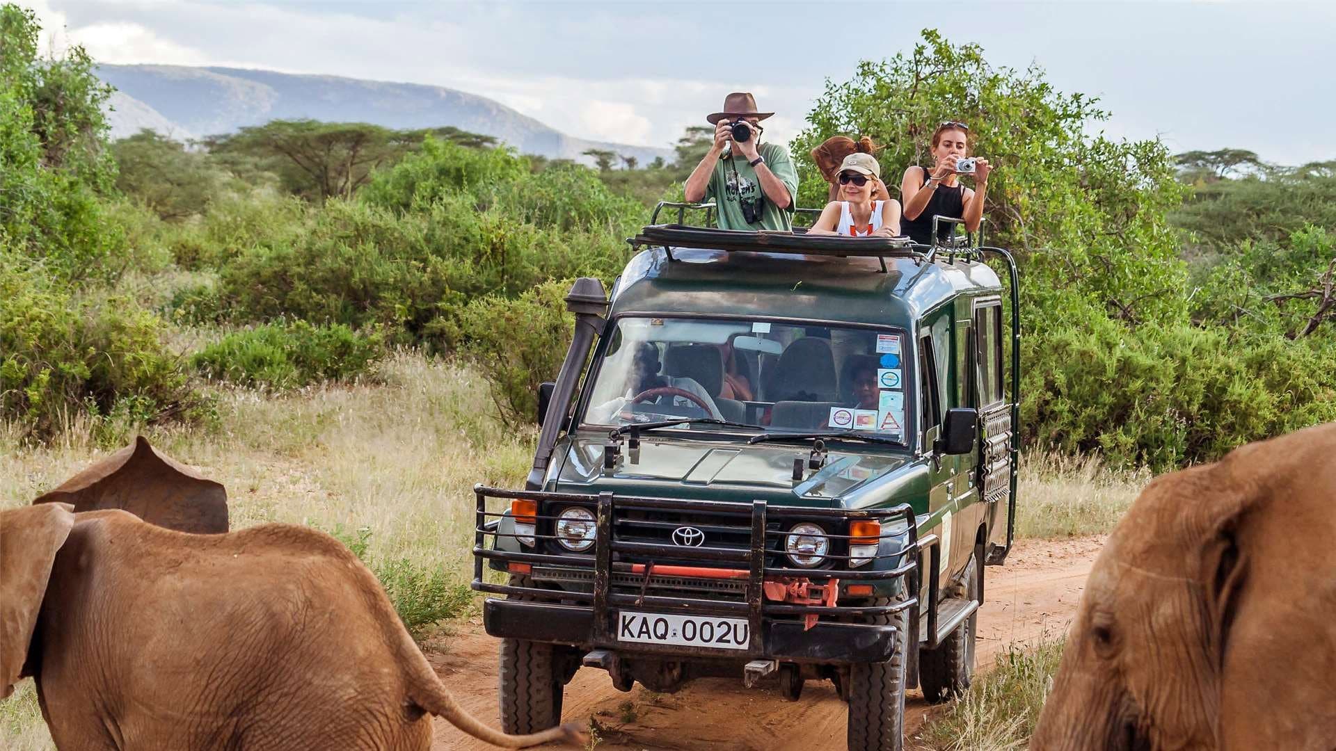 Killer Safari