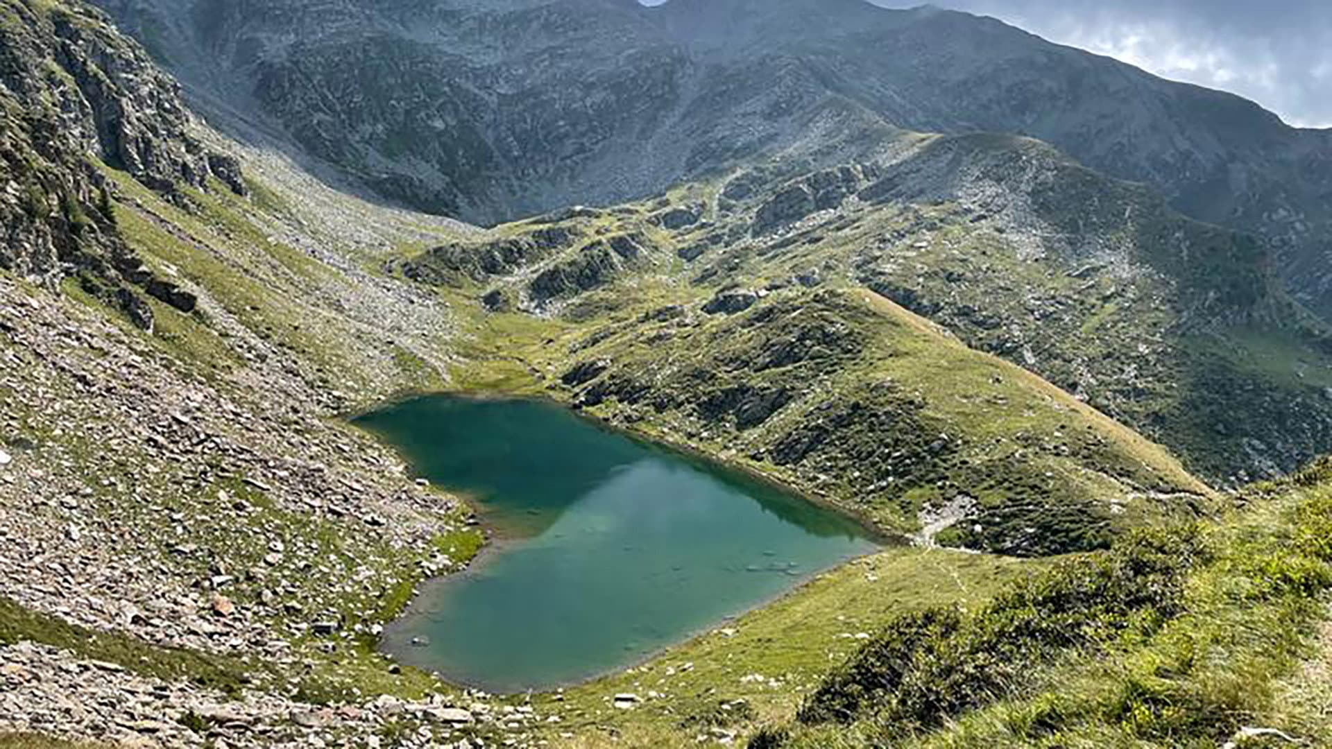 Wilde Schweiz