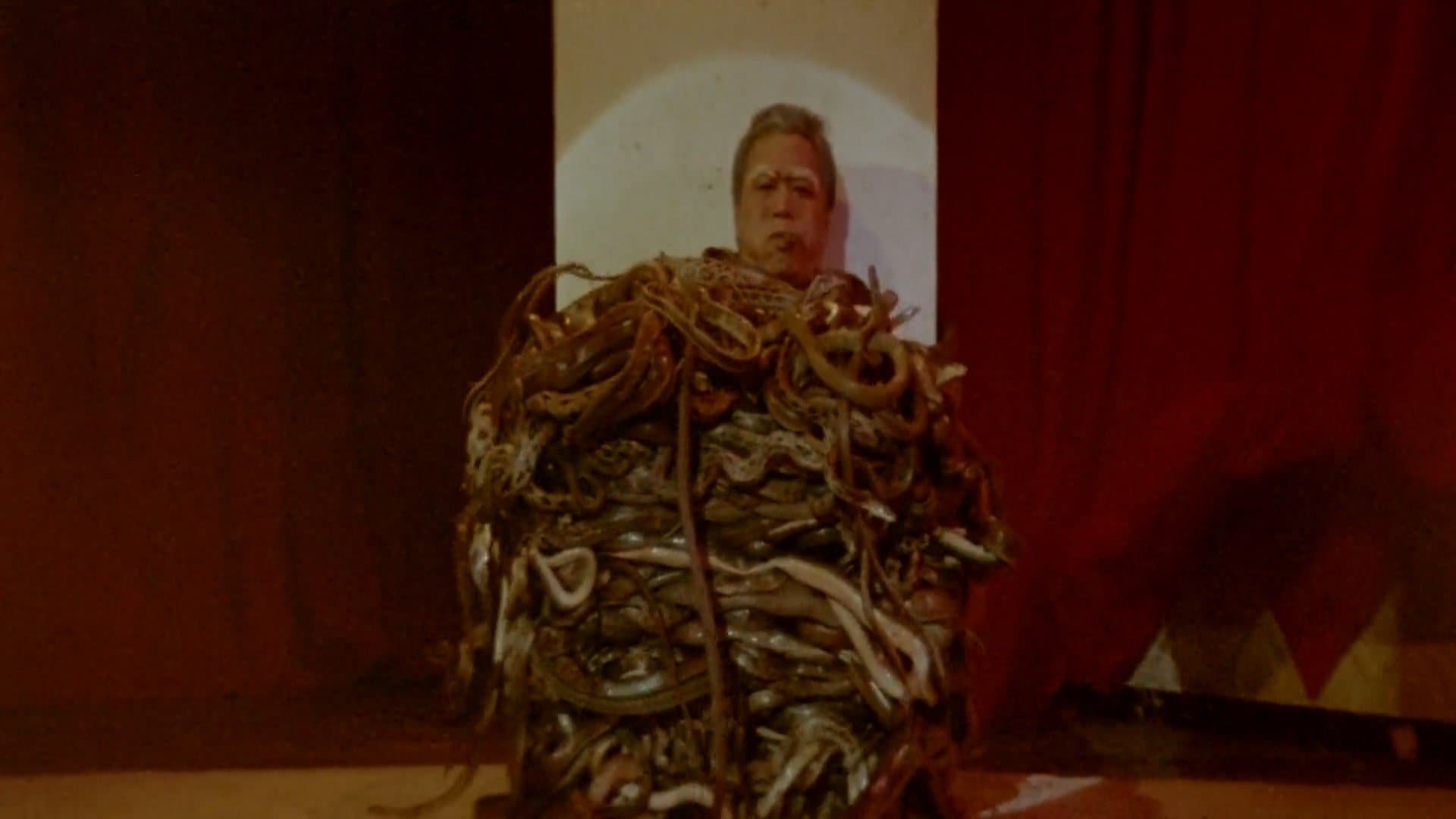 Calamity of Snakes