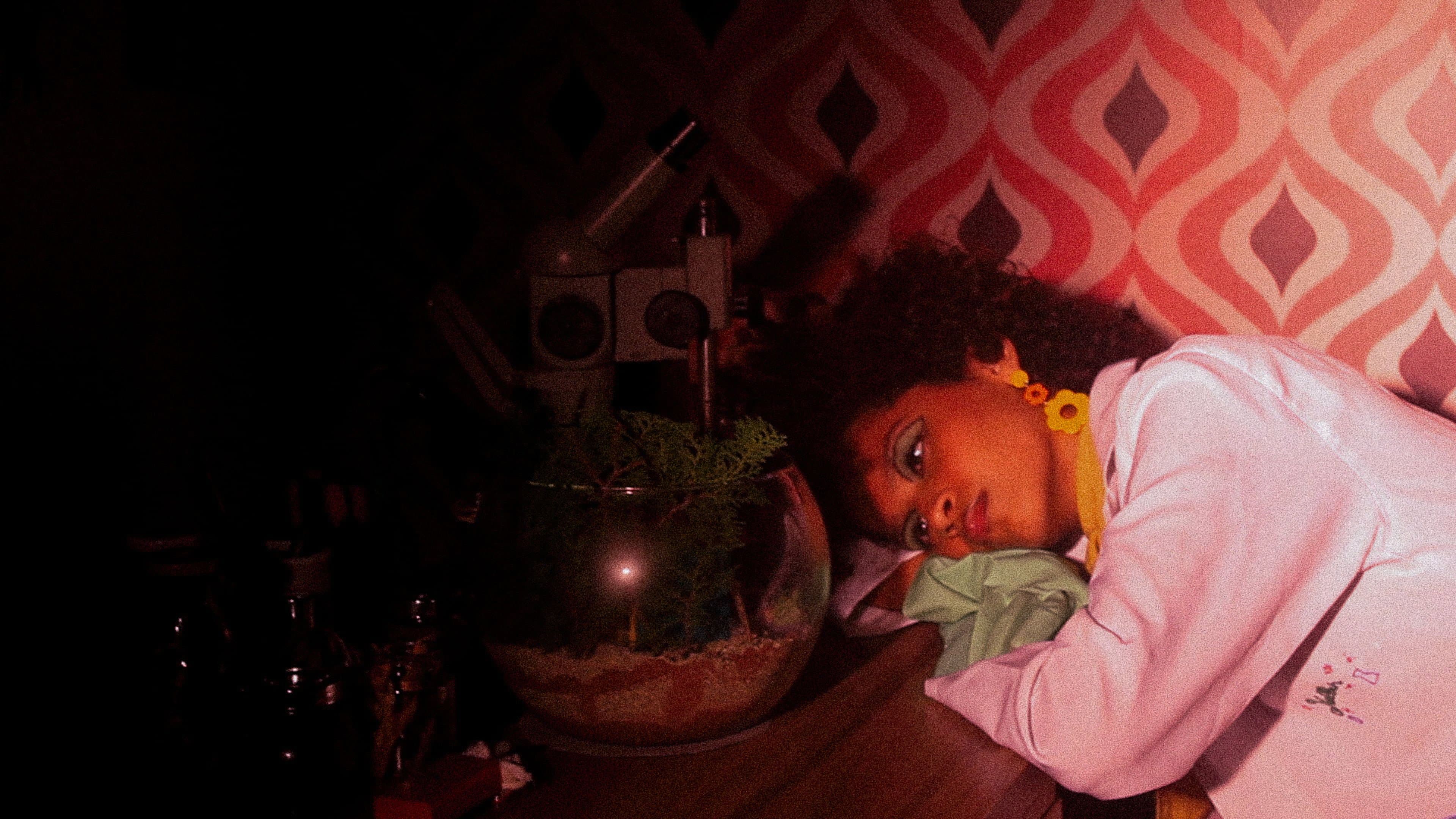 Terrarium