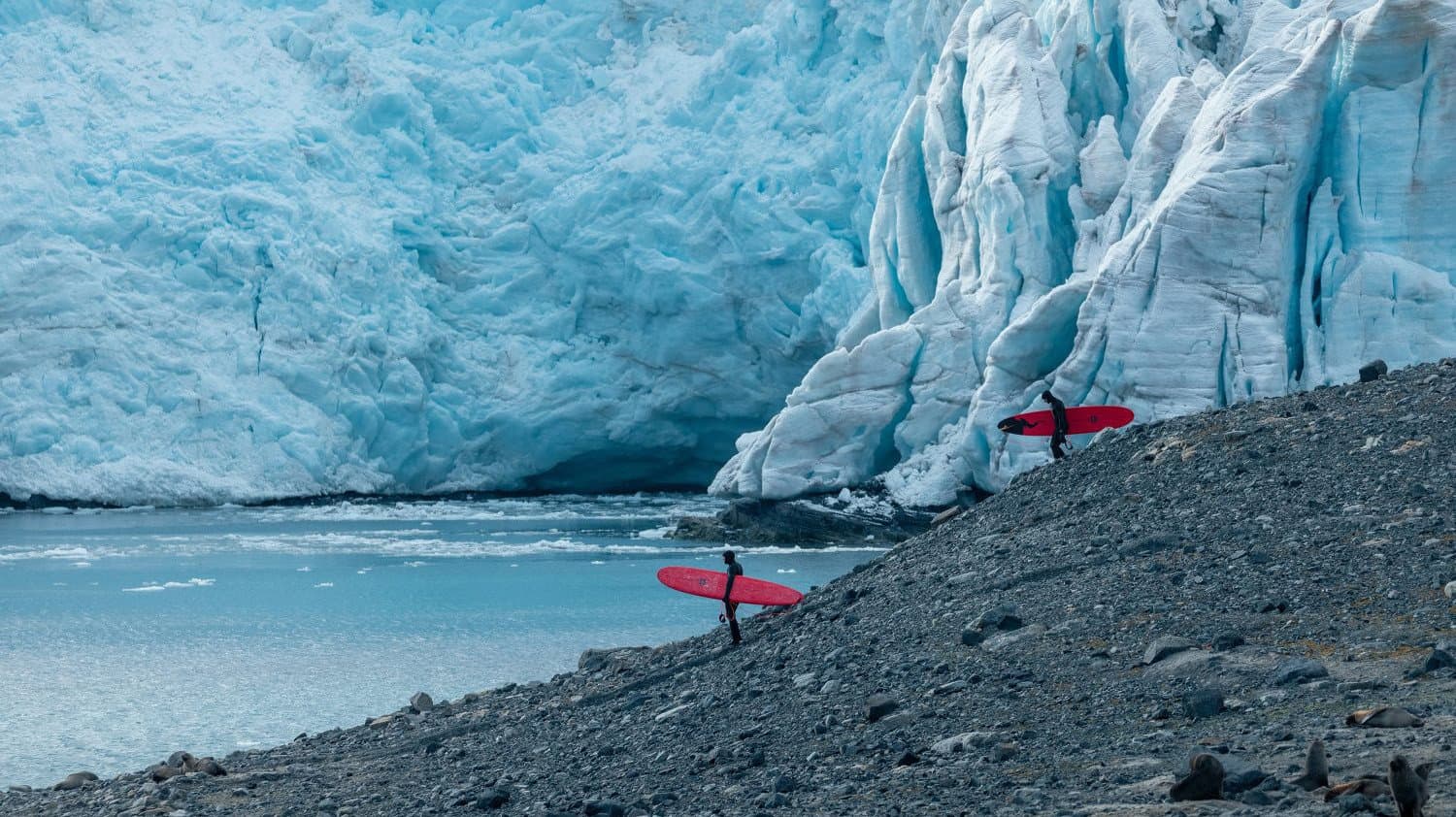 Antarctica - Domain One