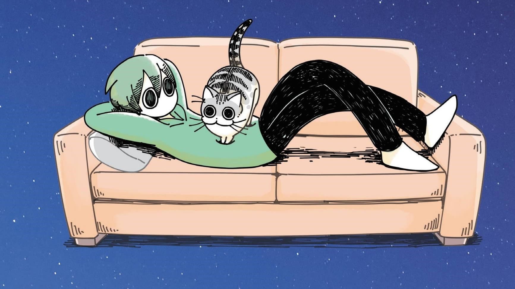 Nights with a Cat
