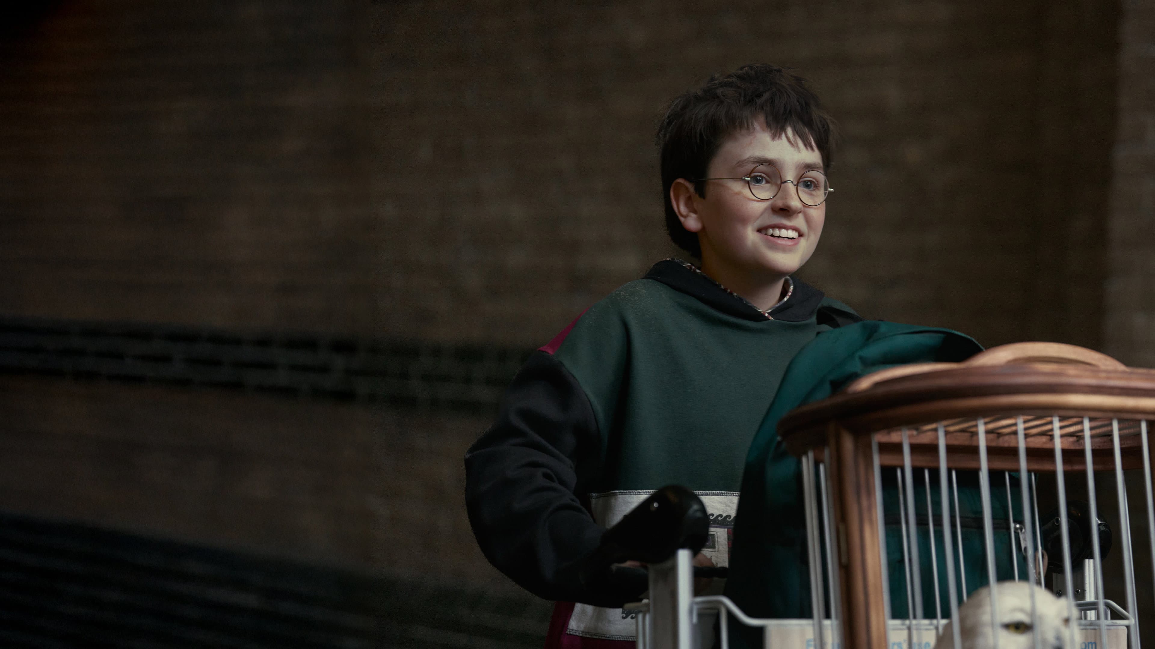 Harry Potter