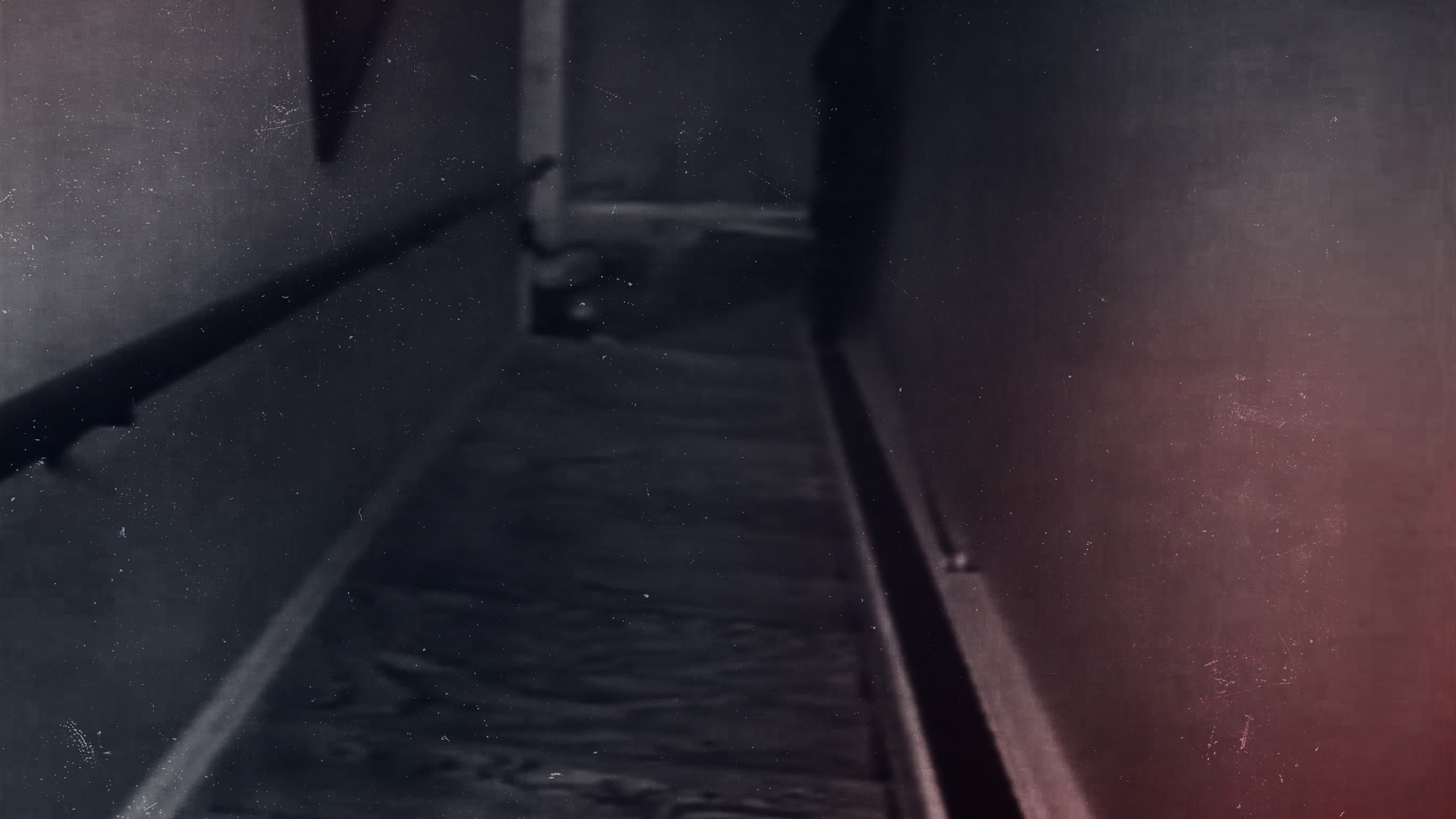 An American Murder Mystery: The Staircase