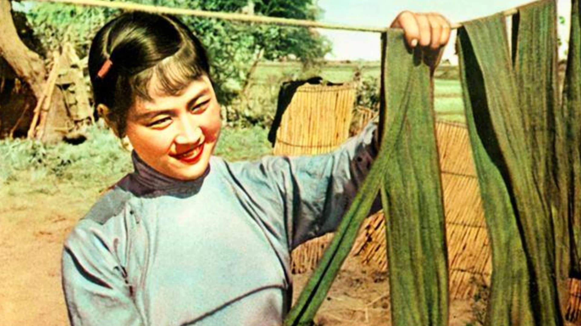 The Story of Liubao