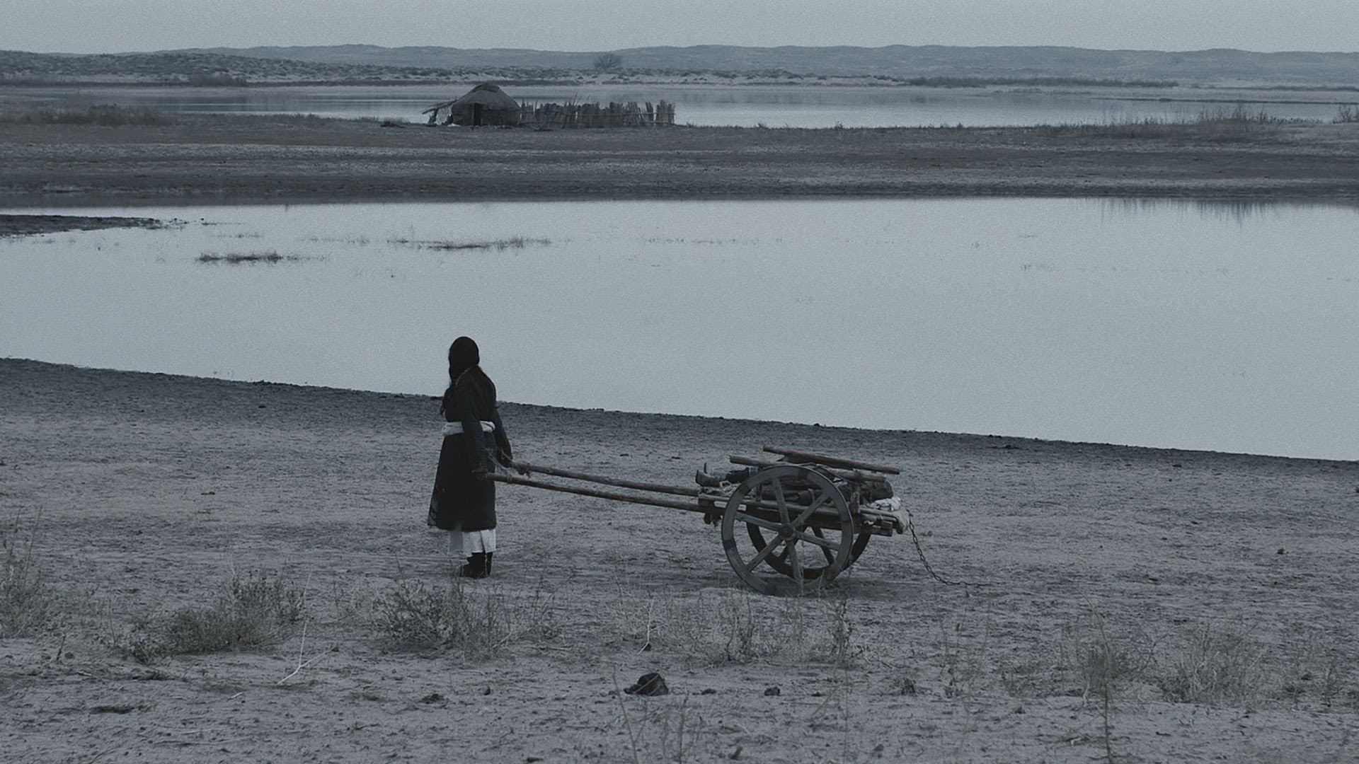 The Land Where Winds Stood Still