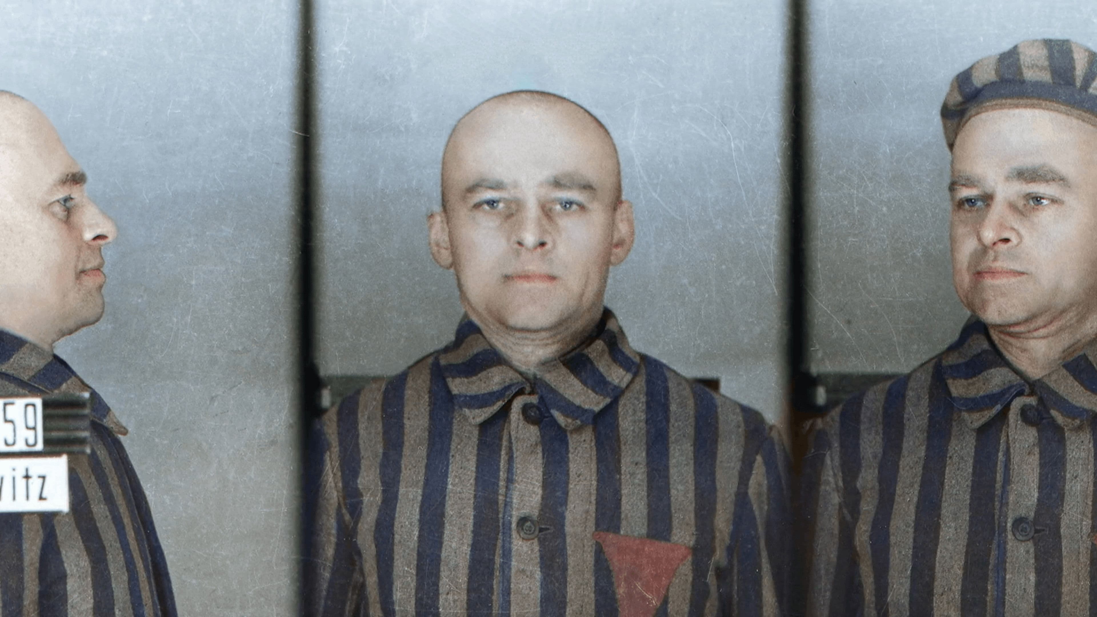 Infiltré à Auschwitz