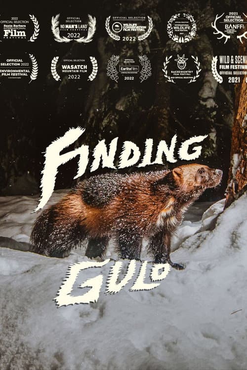 Finding Gulo
