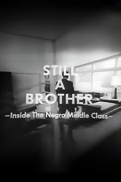 Still A Brother: Inside the Negro Middle Class