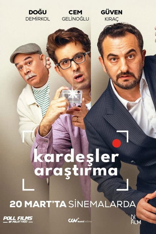 Detective Brothers