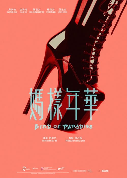 Bird of Paradise