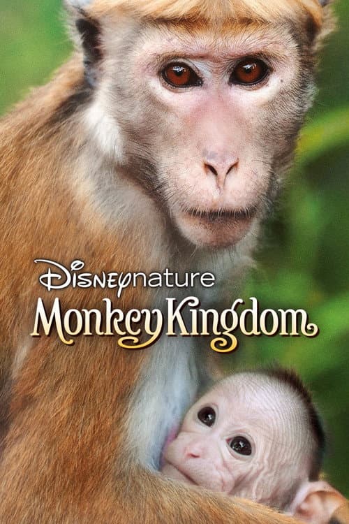 Monkey Kingdom
