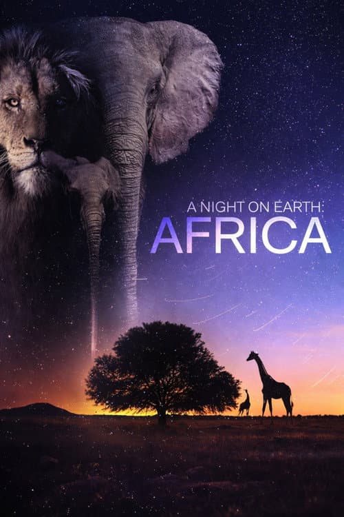 A Night on Earth: Africa