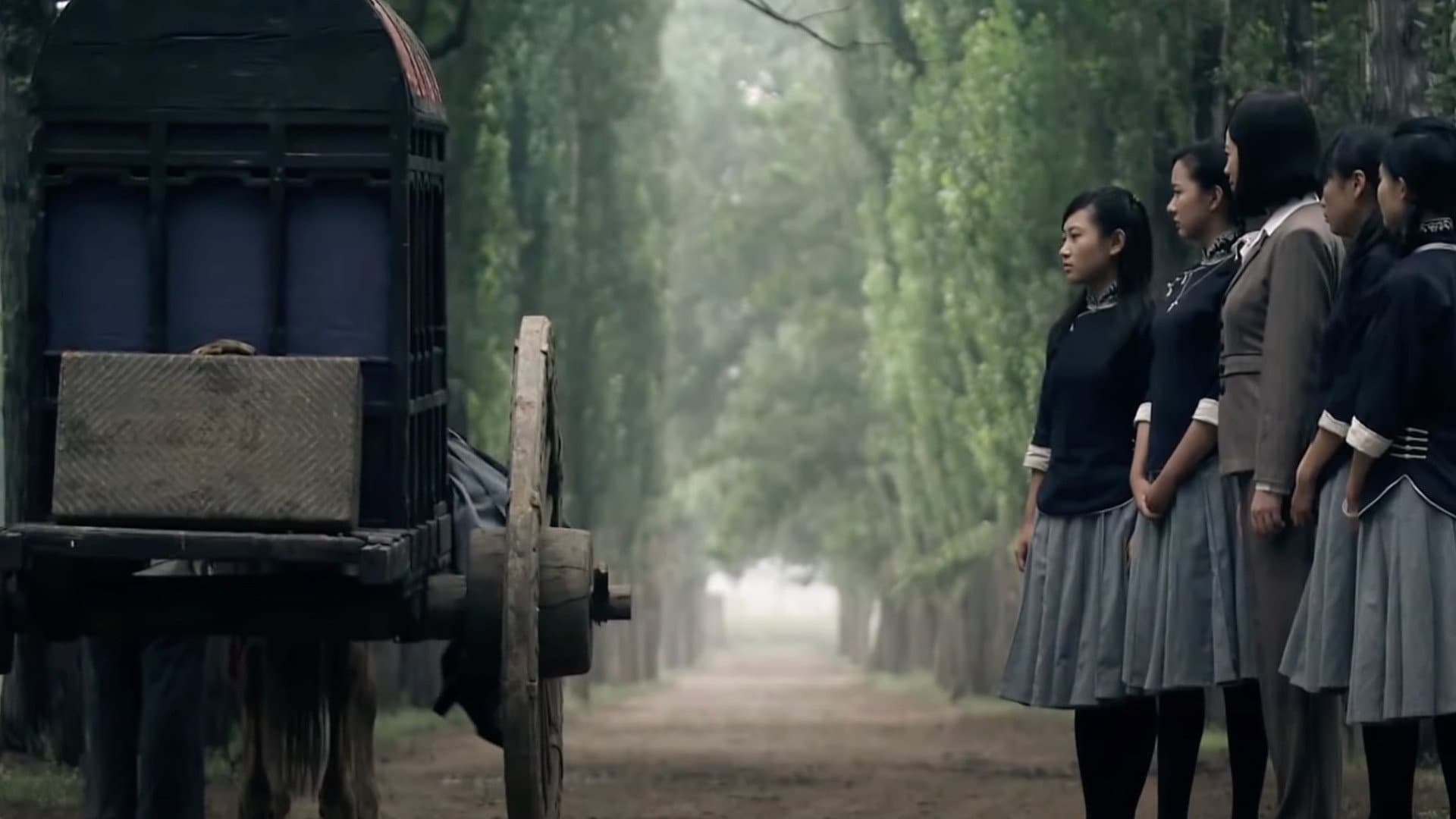 Cheng Cheng War Flame : From Writer to Solider