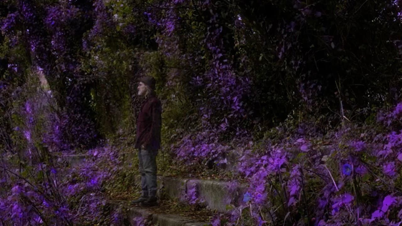 Ultraviolet