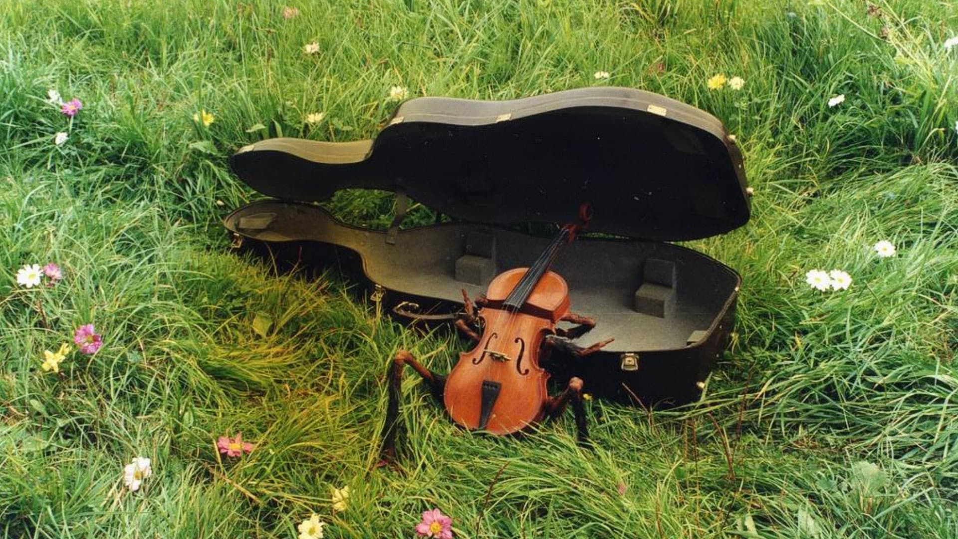 The Flight of the Bumblebee