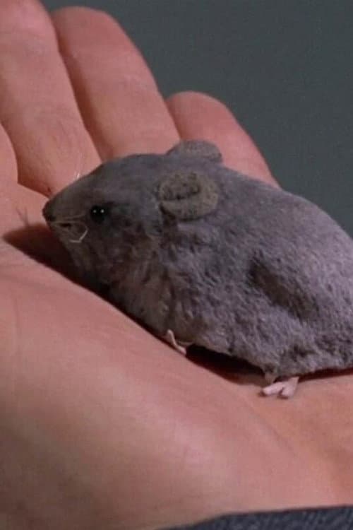 Thunderbirds: The Mighty Atom